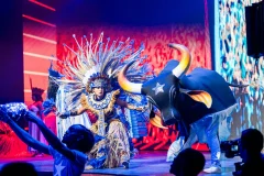 Rio de Janeiro Dance Shows