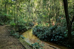 Rio de Janeiro Day Trips