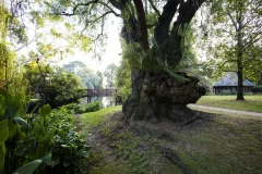 Rippon Lea Estate