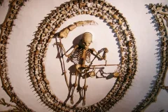 Rome Catacombs and Underground Tours
