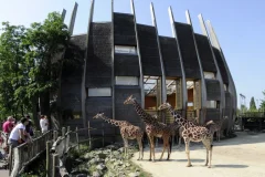 Rotterdam Zoo