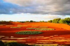 Royal Botanic Gardens Cranbourne