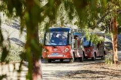 Royal Botanic Gardens Cranbourne