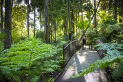 Royal Botanic Gardens Victoria - Melbourne Gardens