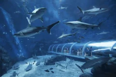 S.E.A. Aquarium™ Singapore