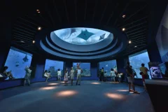 S.E.A. Aquarium™ Singapore