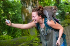 Sacred Monkey Forest Sanctuary