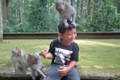 Sacred Monkey Forest Sanctuary