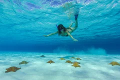 Sailing Day Trips from Cancún