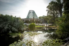 San Antonio Botanical Garden