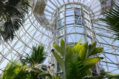 San Antonio Botanical Garden