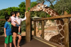 San Antonio Zoo®