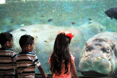 San Antonio Zoo®