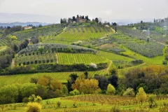 San Gimignano, Siena Day Trips from Florence