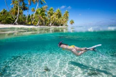 Saona Island Tours