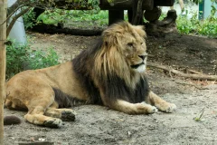 Schönbrunn Zoo
