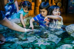 Sea Life Aquarium - New Jersey