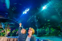 SEA LIFE Blankenberge