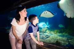 SEA LIFE Blankenberge