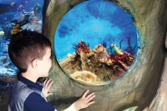 SEA LIFE Brighton
