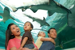 SEA LIFE Brighton
