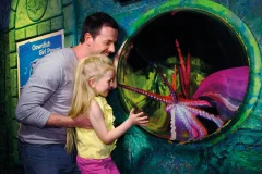 SEA LIFE Brighton