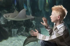 SEA LIFE Hannover