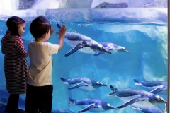 SEA LIFE Konstanz