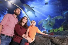 SEA LIFE Konstanz