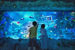 SEA LIFE Malaysia