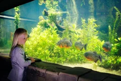 SEA LIFE Manchester