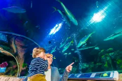 SEA LIFE Munich