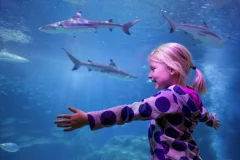 SEA LIFE Oberhausen
