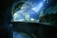 SEA LIFE Porto