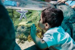 SEA LIFE Scheveningen