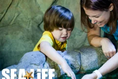 SEA LIFE Scheveningen