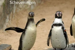 SEA LIFE Scheveningen