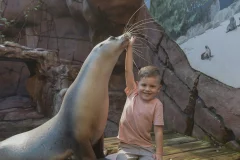 SEA LIFE Sunshine Coast