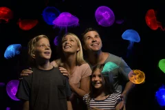 SEA LIFE Sunshine Coast