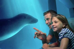 SEA LIFE Sunshine Coast