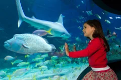 SEA LIFE Sydney Aquarium