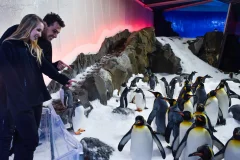 SEA LIFE Sydney Aquarium