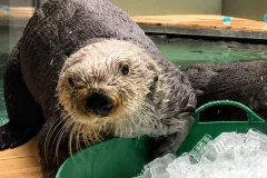 Seattle Aquarium