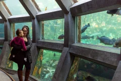 Seattle Aquarium