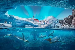 SeaWorld Abu Dhabi
