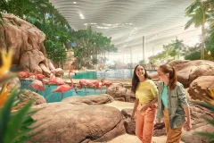SeaWorld Abu Dhabi