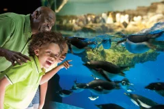 SeaWorld San Antonio