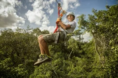 Selvatica