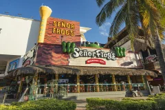 Señor Frog's Cancún