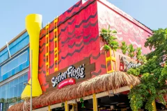 Señor Frog's Playa del Carmen